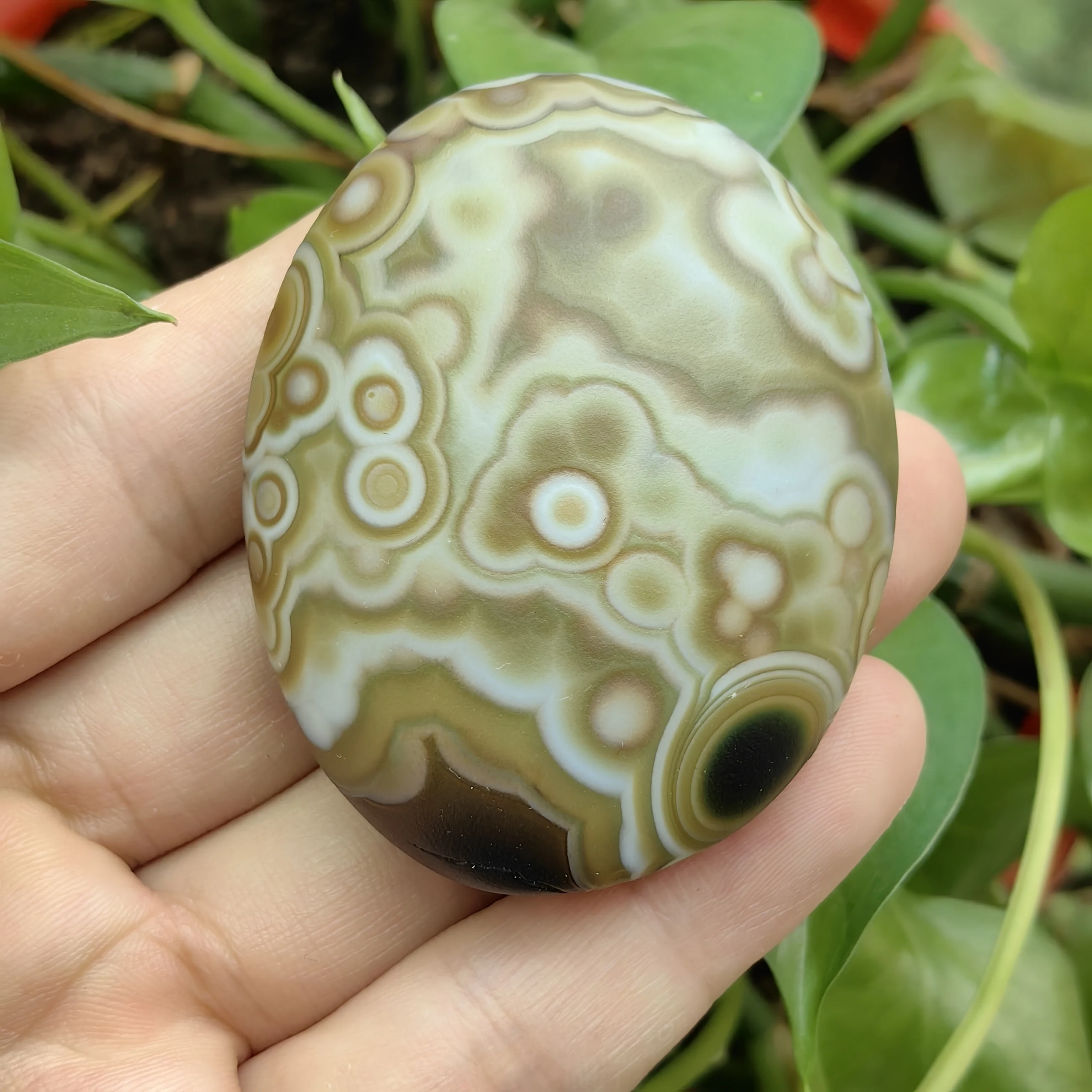 Rare Natural Eye Agate , Distinctive Eye Texture and Rare cartoon Image for Stress Relief Against Negativity, Mineral Specimen
