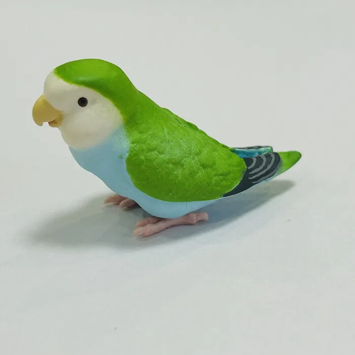 SHINE-G Japan Gashapon Figure Cute Kawaii Parakeet Parrot Figurine Anime Gachapon Capsule Toys Creativity Gift Desktop Decor