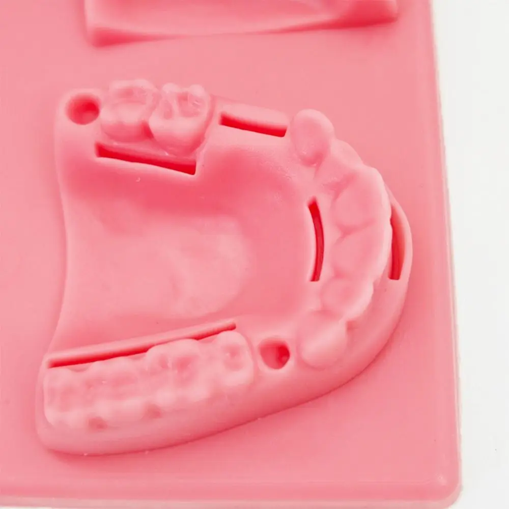 Silicone Dental Oral/Gum Suture Model Suturing Practice Simulation Dental Teaching Model Soft 4 Wound Types Oral Skin Suture Pad