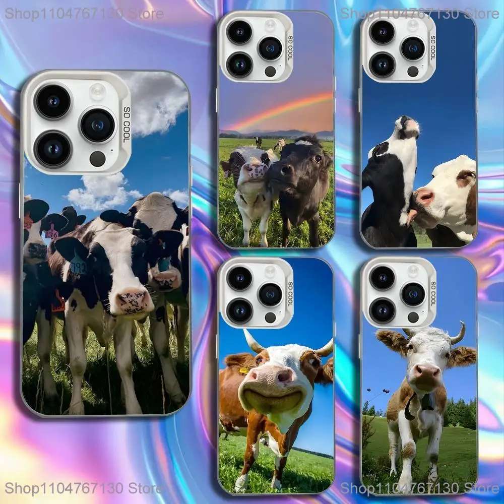 

Lovely Cute Cow Cows OX Phone Case For iPhone 16,15,14,13,12,11,Mini,Pro,SE,MAX White Matte Shockproof Cover