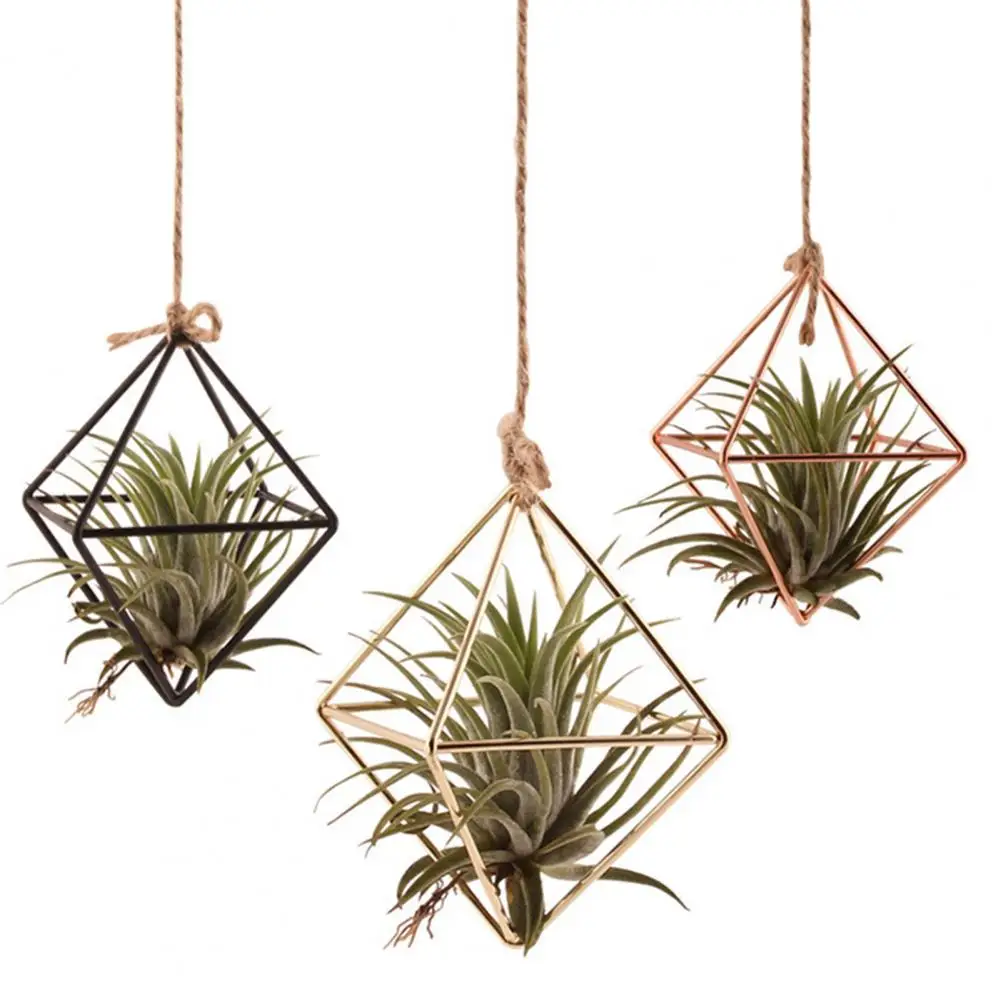 Uchwyt do wieszania roślin stacje propagacyjne szklane Terrarium zakład metalurgiczny stoiska w geometrycznym kształcie żelaznej rośliny dekoracje do domu
