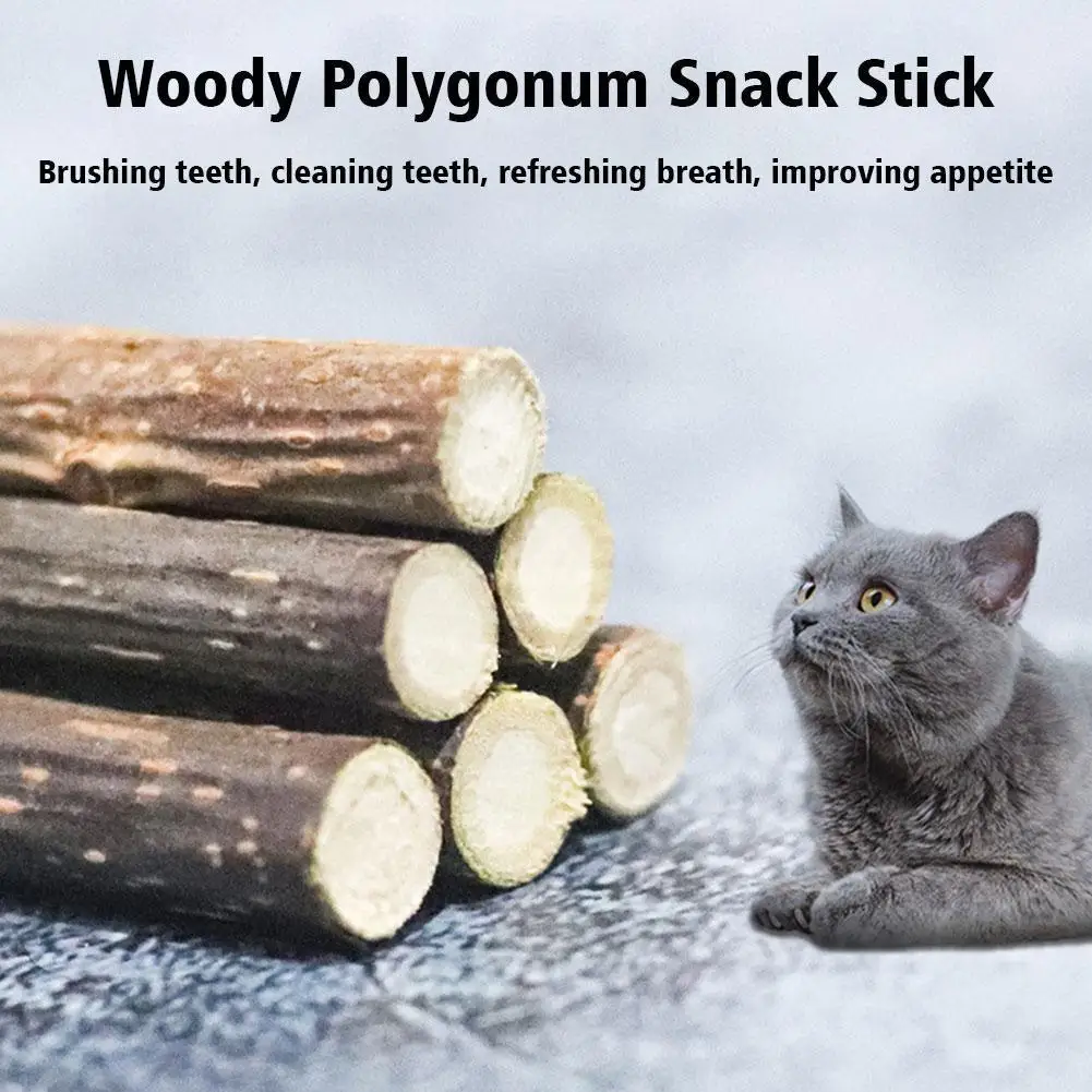 Cat Molar Stick Natural Catnip Teeth Cleaning Toothpaste Silvervine Cat Snack Polygonum Tooth Grinding Stick Chew Pet Toy