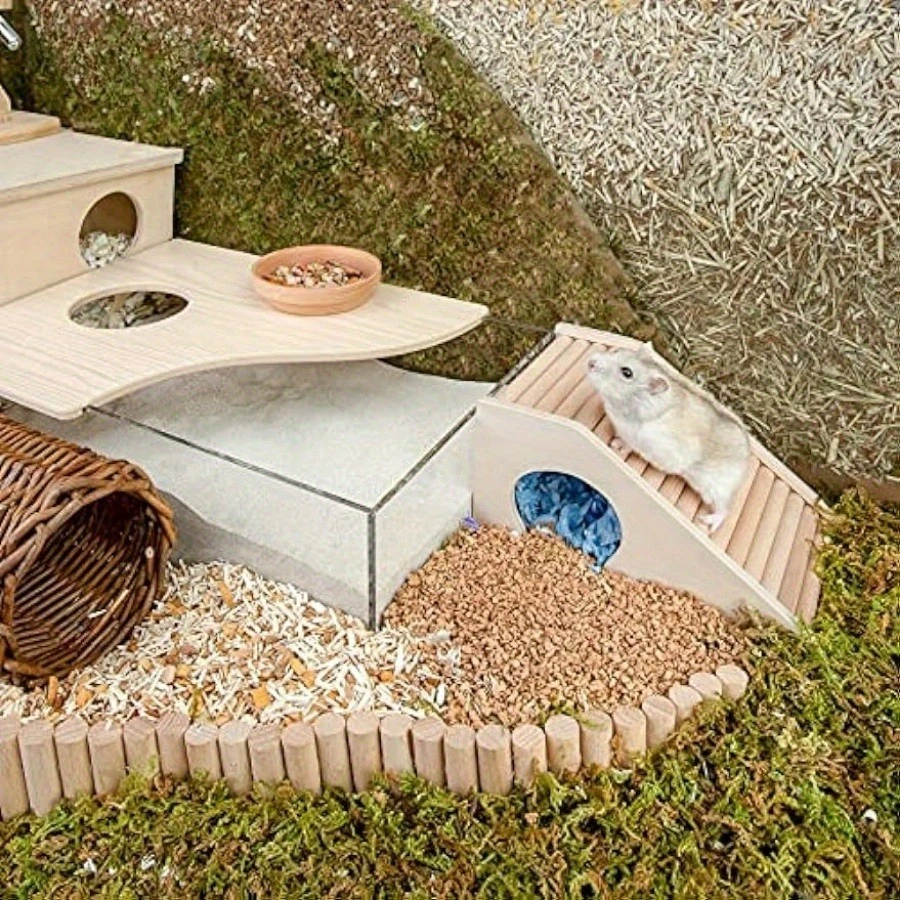 Thumbnail 4 - #20 Latest Hamster Houses Offers