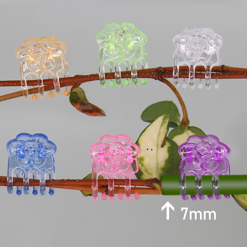 Klips roślinny typu chryzantema do roślin podtrzymujących 6-pazurowe klipsy do storczyków ogrodowych na podwórko rośliny winorośli rosną wystrój