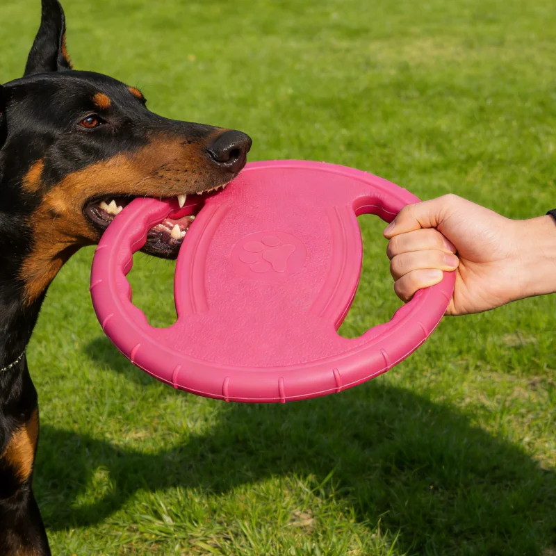 

Dogs EVA Flying Disc Tooth Chew Play Train Toy Indestructible Pet Supplies Toys Large Safe Small Dog Joint Tough Toys Resistant
