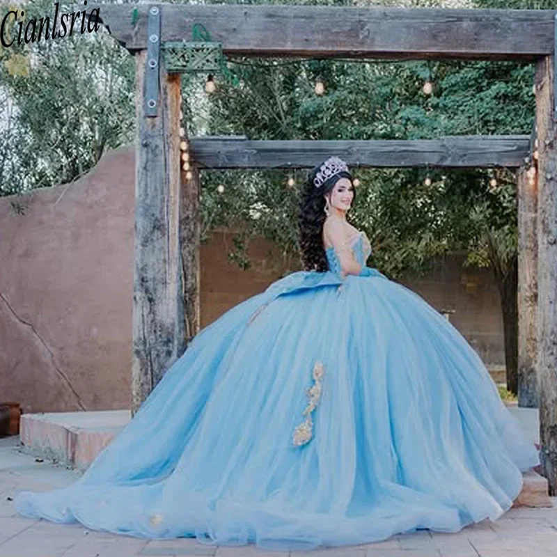 فساتين Quinceanera الزرقاء اللامعة فساتين الدانتيل الزهور الوردية 15 Anos حفلة عيد ميلاد حفلة موسيقية الكرة ثوب مخصص