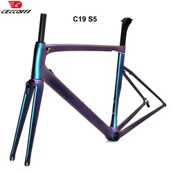 CECCOTTI Carbon Road Bicycle Frame Chameleon Color Bik Frameset 700C And Direct mount Brake Framework