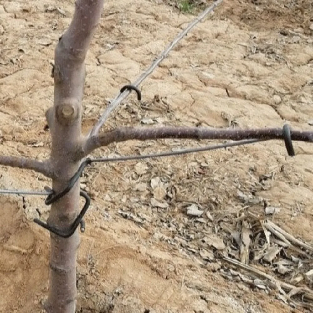 

10Pcs Anti-Slip Metal Limb Spreaders High-Strength with Protective Sleeve Fruit Tree Branch Puller Heavy-Duty Strong