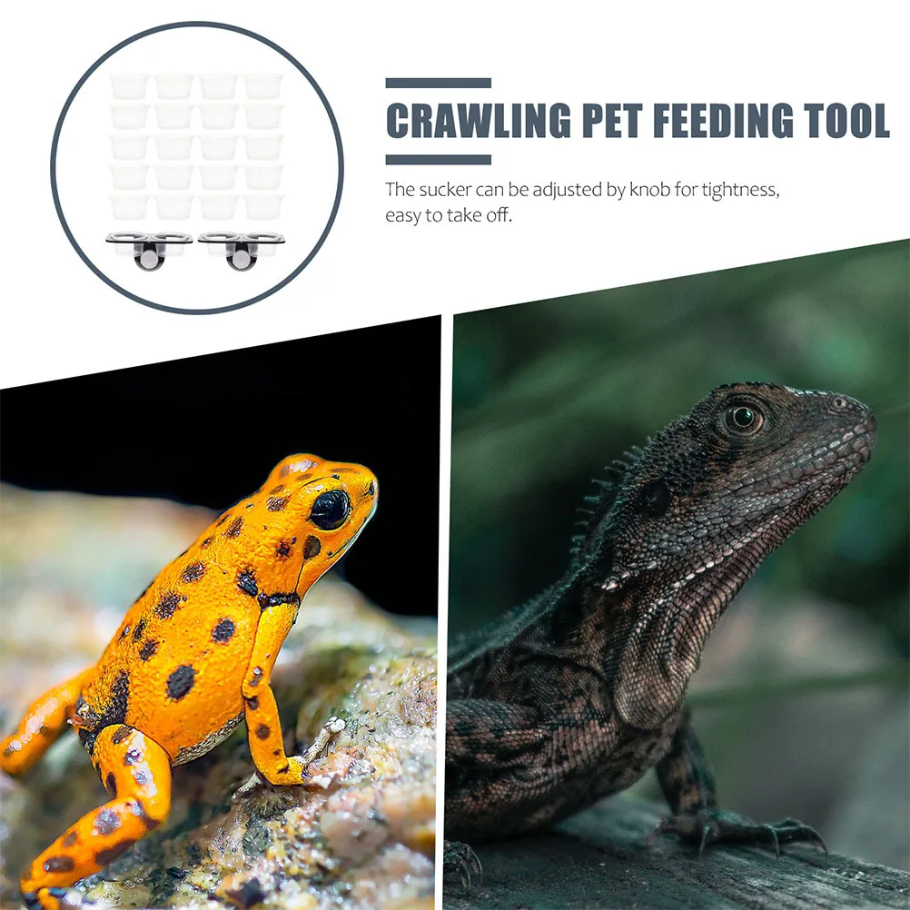 

1Set Reptile Feeding Ledge Plastic Durable Suction Cup Water Feeder Tank Supplies Food Bowl Practical Gecko Feeder Platform