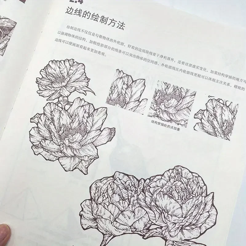 記憶の中の森 レトロおとぎ話風 線画 イラスト 表現技法 中国語版