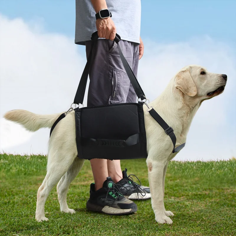 

New Pet Hand Holding Rope Rehabilitation Strap Adjustable Dog Outdoor Travel Auxiliary Chest and Back