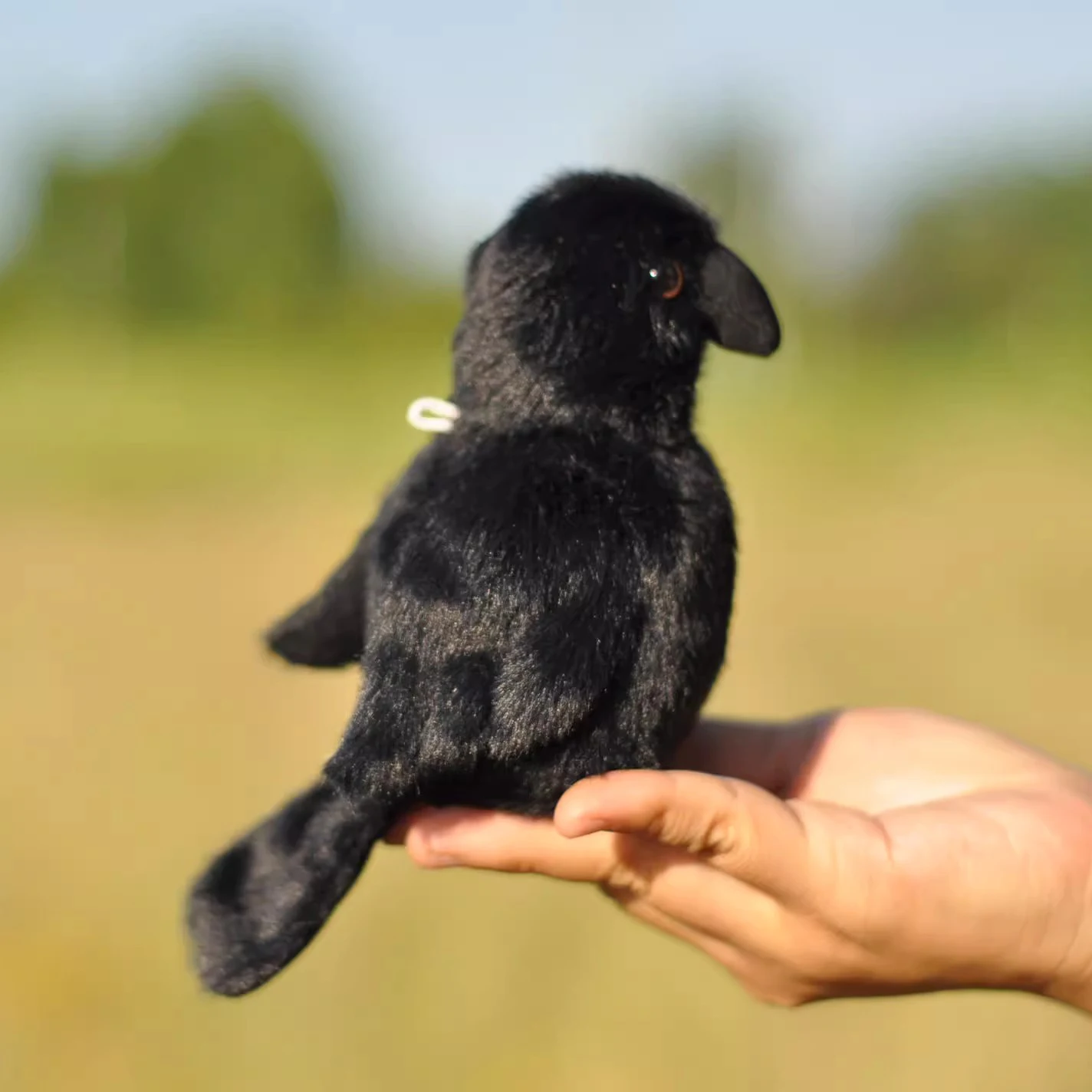 Simulated Animal Corvus Crow Black Bird Model Pendant Chain Key Ring Wild Nature Zoo Plush Toy Stuffed Doll Boy Girl Friend Gift