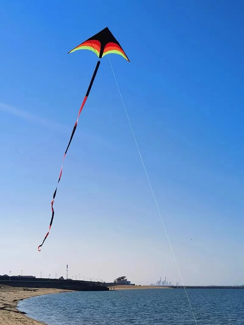 New Children kites flying outdoor fun toys nylon delta kite factory summer toys kitesurf wing kites line wind dragon naish buggy