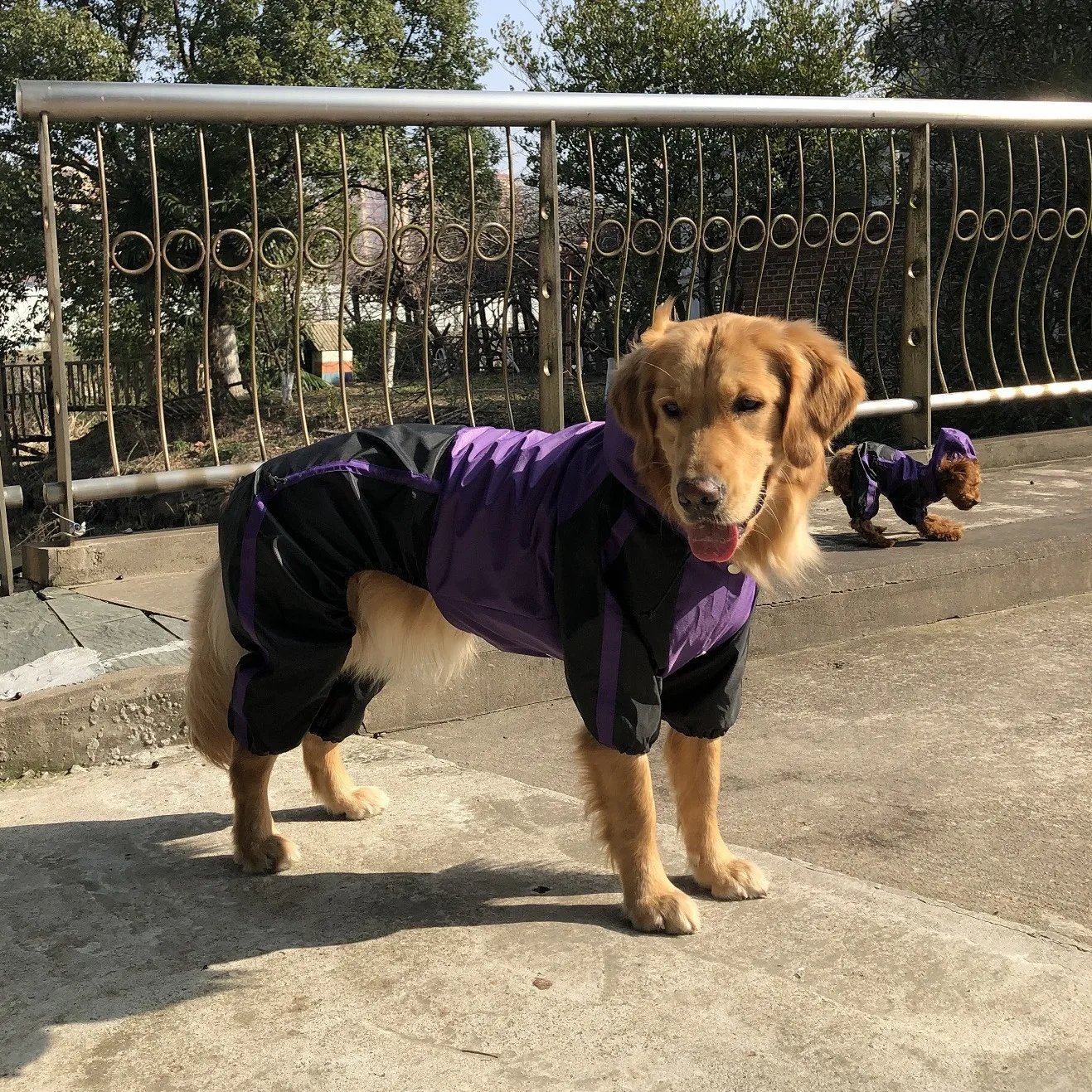 Pet hoodies, hoodies, spring, autumn, and winter pet clothing, large, medium, and small dog cotton hoodies