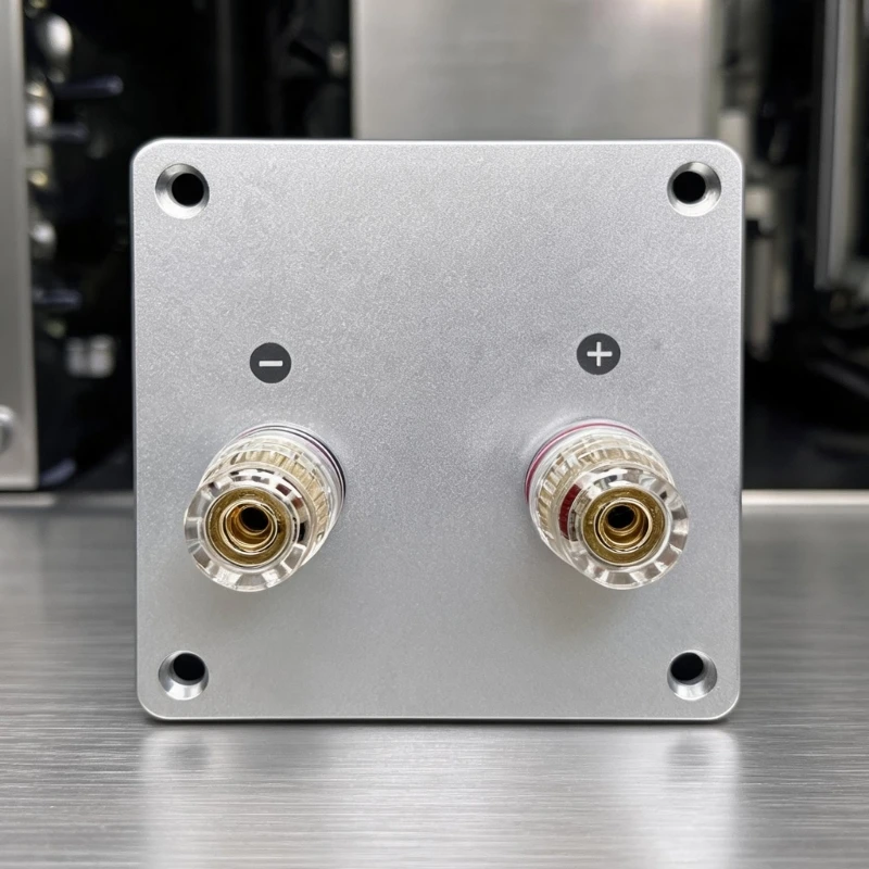 2Bit/4Bit Lautsprecheranschlussplatte für Lautsprecherreparatur und DIY-Heckverkabelung M76A – Detail 1