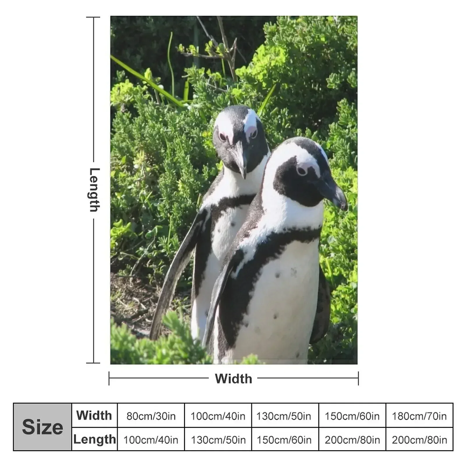 Two African Penguins Strolling Boulders Beach, Cape Town, South Africa Throw Blanket Luxury St Luxury Designer Thin Blankets