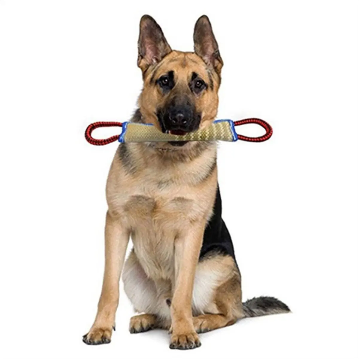 Dog Training Bite Pillow Bite Toy Dog Tug Toy Dog Bite Sleeve Stick Training Equipment for Puppy Pet