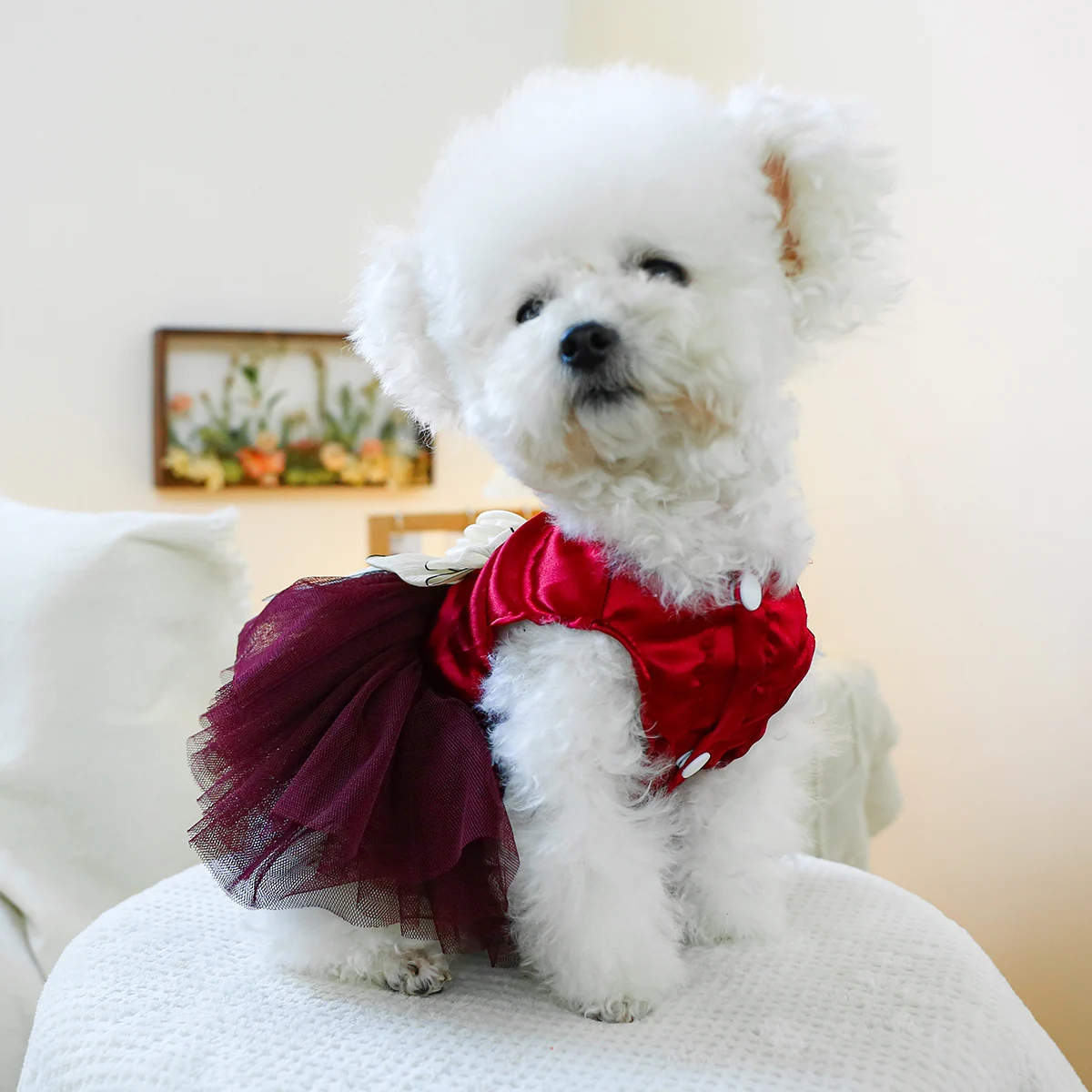 1PC Pet Clothing Cat Vest Red Bow Wedding Dress Princess Dress with Traction Buckle Suitable for Small and Medium Dogs