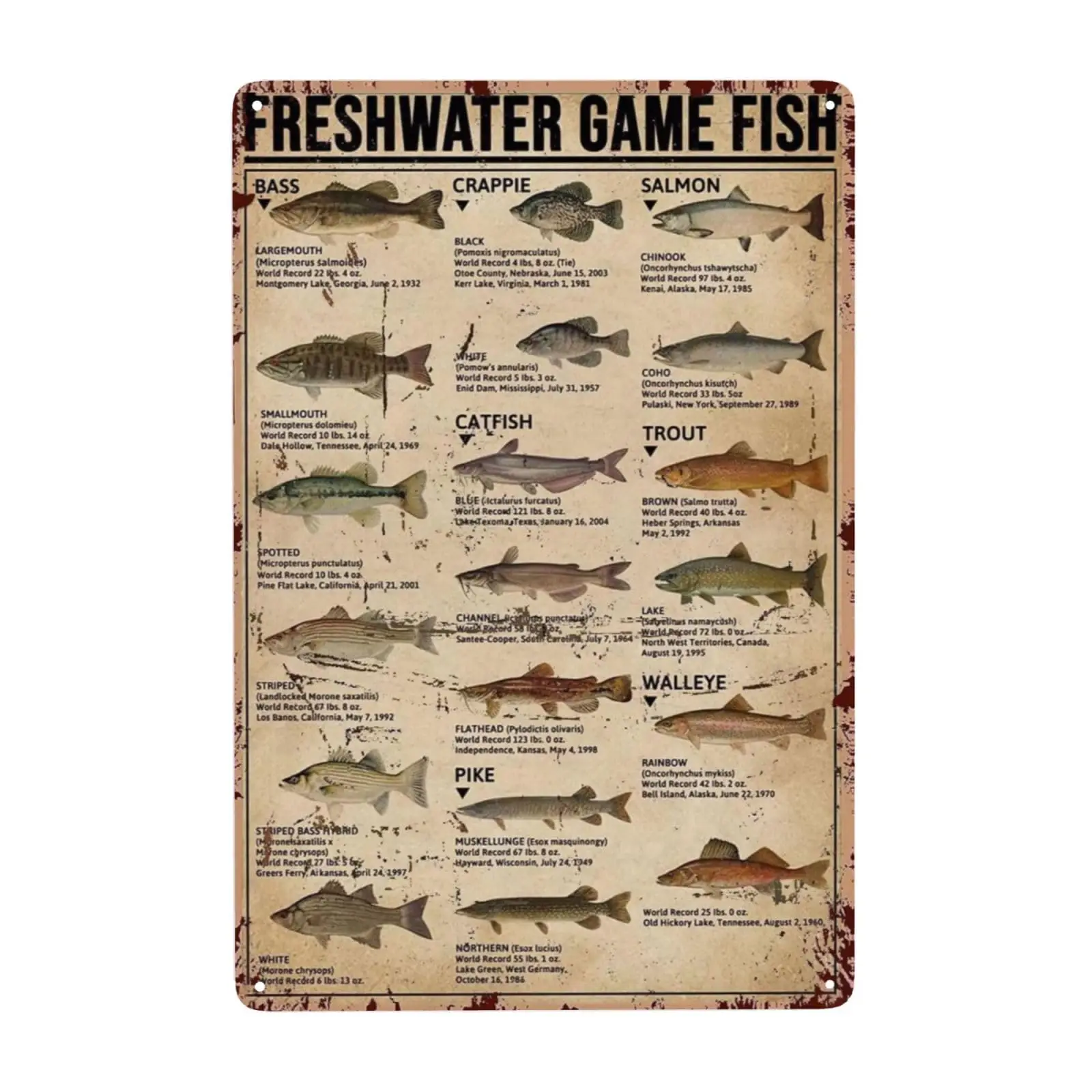 Fish Aluminum Metal Sign,Freshwater Game Fish,Wall Decor Poster Home Bedroom Kitchen Bar Home Cafe 8x12 Inch