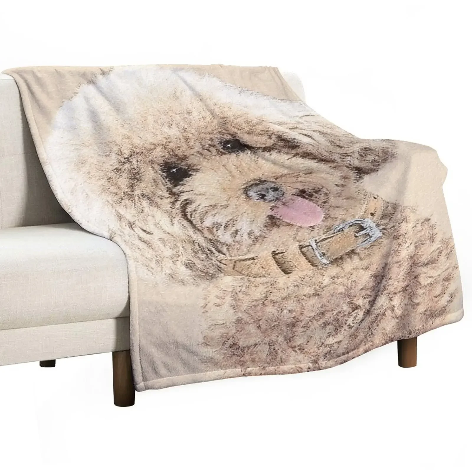 

Poodle Toy Miniature Apricot Cream Brown Throw Blanket Plaid on the sofa Nap for winter Blankets