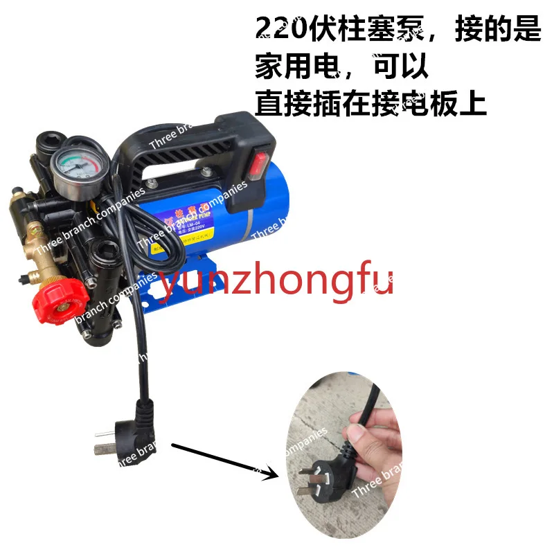 Electric Sprayer Double-cylinder High-pressure Fruit Tree Medicine Pump Portable Longmai Plunger  12V24V48V60V220V