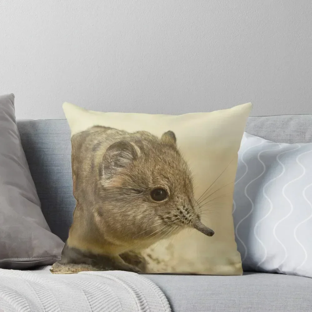 THIS NOSE Throw Pillow christmas decorations for home 2025 Christmas Pillow Covers Pillow Cases Decorative