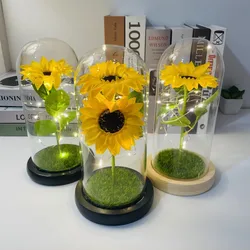 Eternal Life Immortal Flower The Beauty And The Beast Sunflower Glass Dome Mother's Day Christmas Gift For wedding Decor