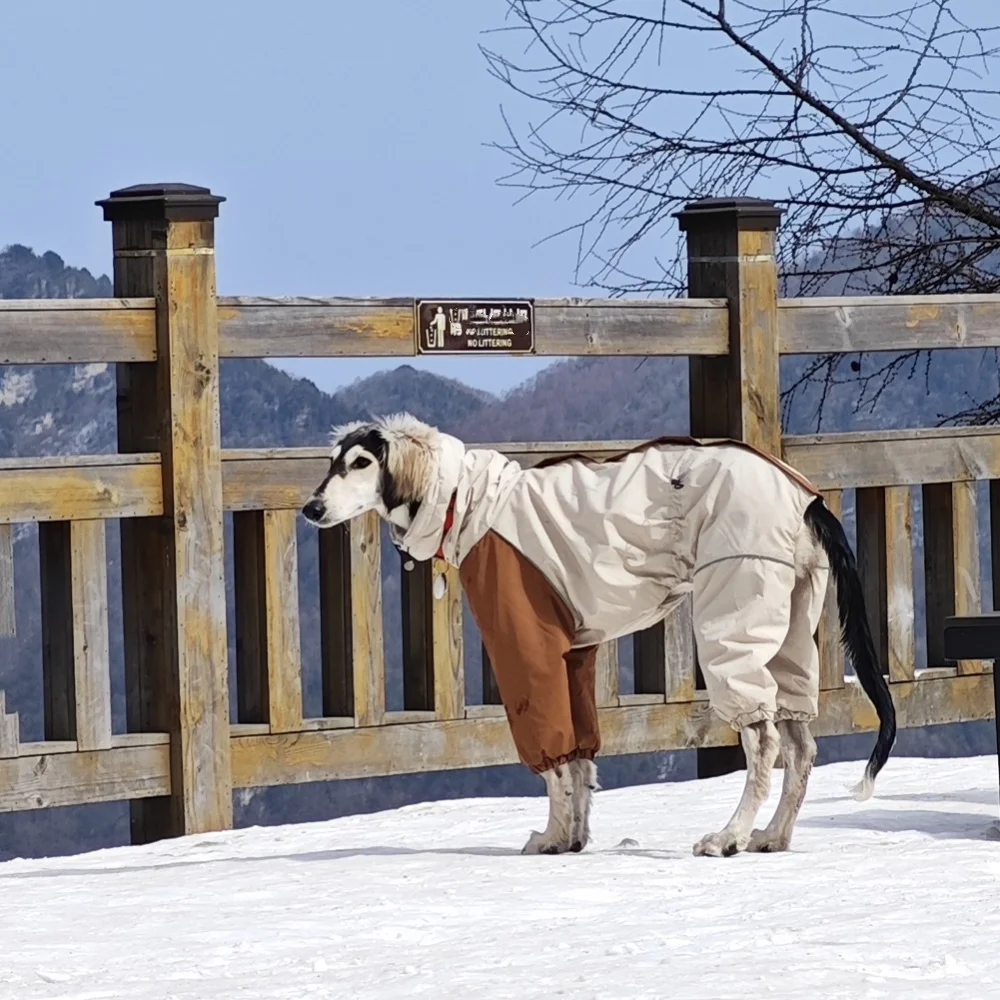 Hundekleidung im Winter, Schnee, Wetter, verdickter Plüsch, 4-beinige Khaki-Jacke, winddichter, wasserdichter, warmer Mantel für Italien, Windhund, Huibit – Detail 4