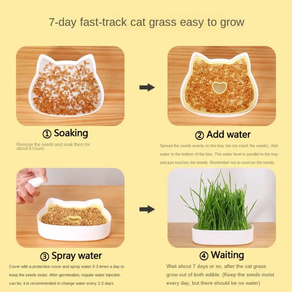 Cat Face Shaped Cultivation Sprouting Tray Soilless Cultivation Sprout Planting Helper Hydroponic Sprouting Plate Convenient