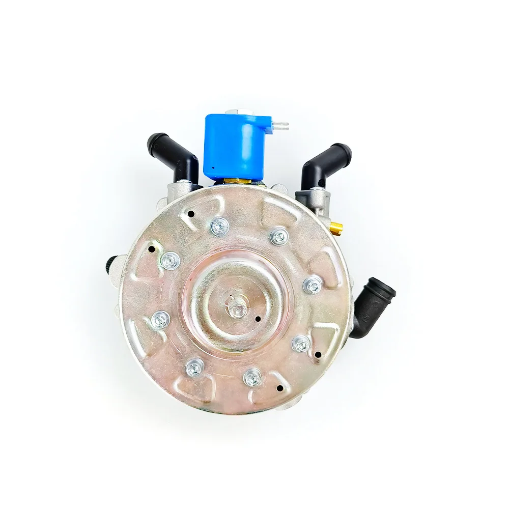 LPG/CNG Automotive Oil To Gas Multi-point Evaporator Pressure Reducing Valve Pressure Reducer Gas Auto Parts