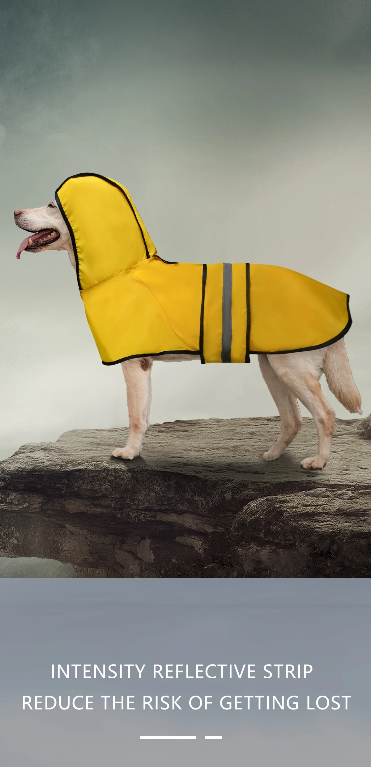 Wasserdichter Hunde-Regenmantel mit Kapuze, Reflektierender Streifen Leichter Hunde-Regenjacke, Verstellbarer Riemen Hunde-Regenponcho für Mittelgroße und Große Hunde – Detail 4