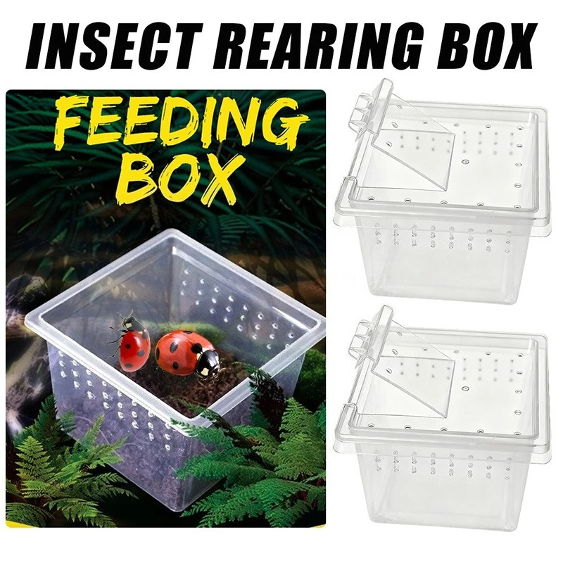 Caja de alimentación 10x, jaula para reptiles, contenedor para incubar, tanque de cría, terrario transparente para reptiles, vivario, caja de cría de insectos, alimentación de alimentos