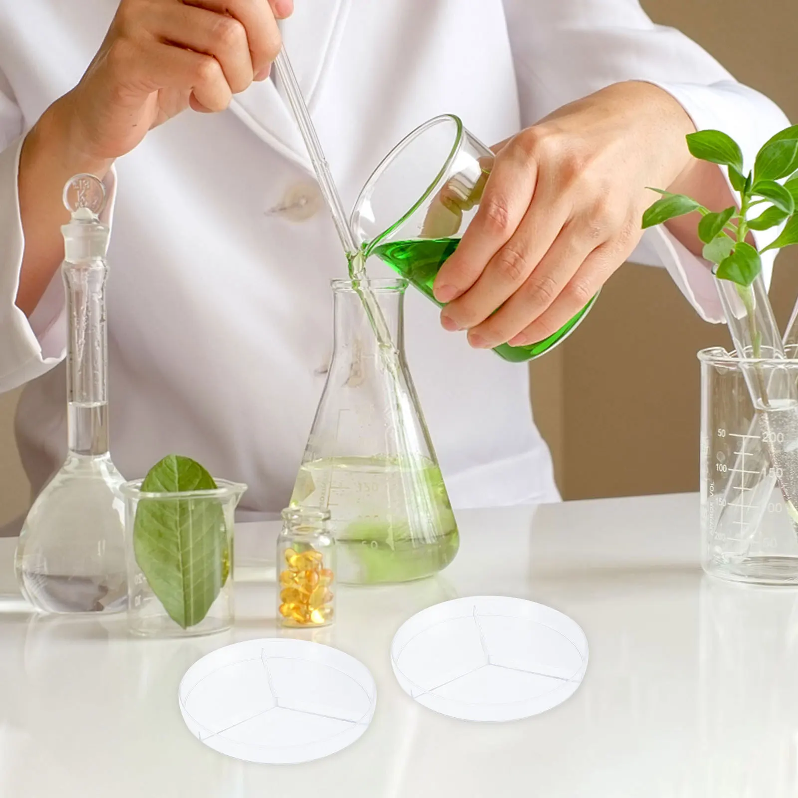 

10Pcs Bacteria Culture Petri Dish Three Compartments Transparent Laboratory Science Plastic Dishes Three Compartments Petri Dish