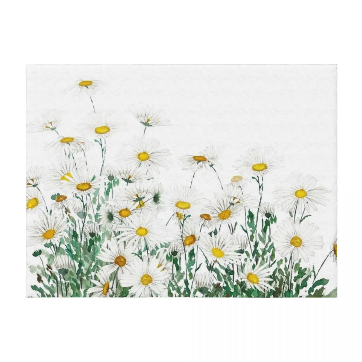 

white margaret daisy horizontal watercolor painting Throw Blanket For Baby Bed covers Furry Thermal Blankets
