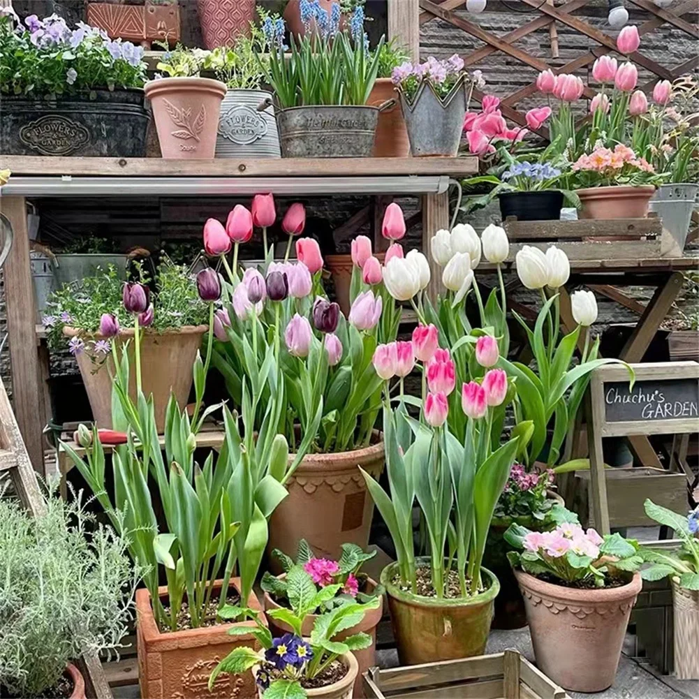 Climbing Support Plant Growing Support Plant Stand 11*6cm Practical Plant Support Clips Vegetable High Quality