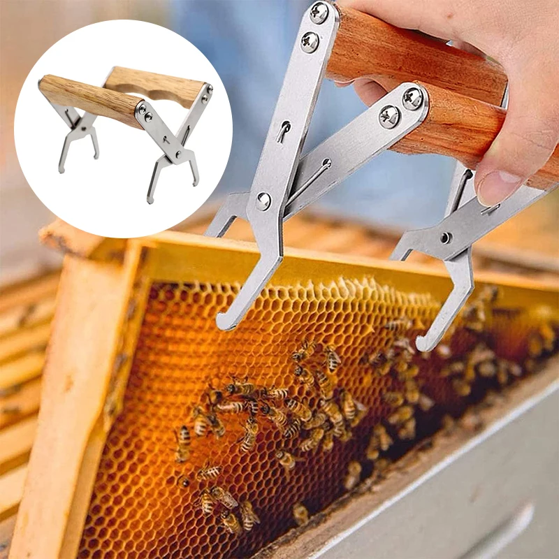 

1Pc Nest Box Clamp Beehive Equipment Stainless Steel Beekeeping Tools Honeycomb Frame Stand Beehive Capture Grip Tool Equipment