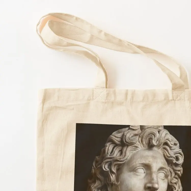 Alexander the Great Tote Bag shopper bag woman hand bag Women's handbag shopper bags for women
