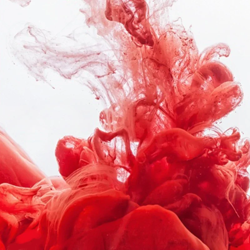 CARMELA Batons Sombra Esmalte Veludo Orvalho À Prova D 'Água de Longa Duração Cor Faca Batom Antiaderente Cuidados com os Lábios Maquiagem Lábios Cosméticos