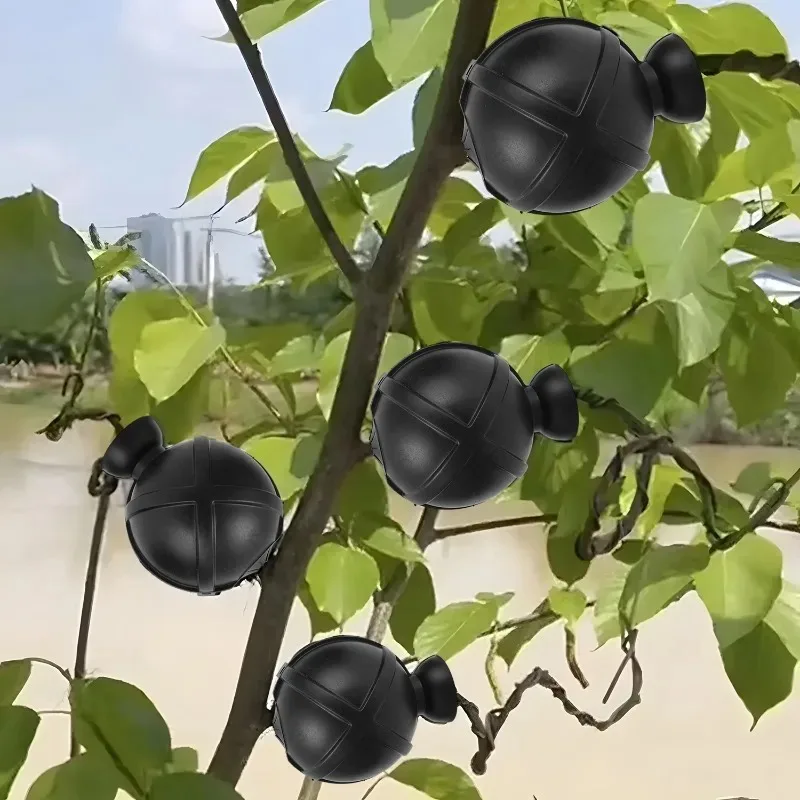 كرة تأصيل النباتات، طبقات الهواء، قطع القطع، علبة تنمو لشجرة الفاكهة، بوتينج عصاري، ركيزة، رعاية زرع داخلية #2