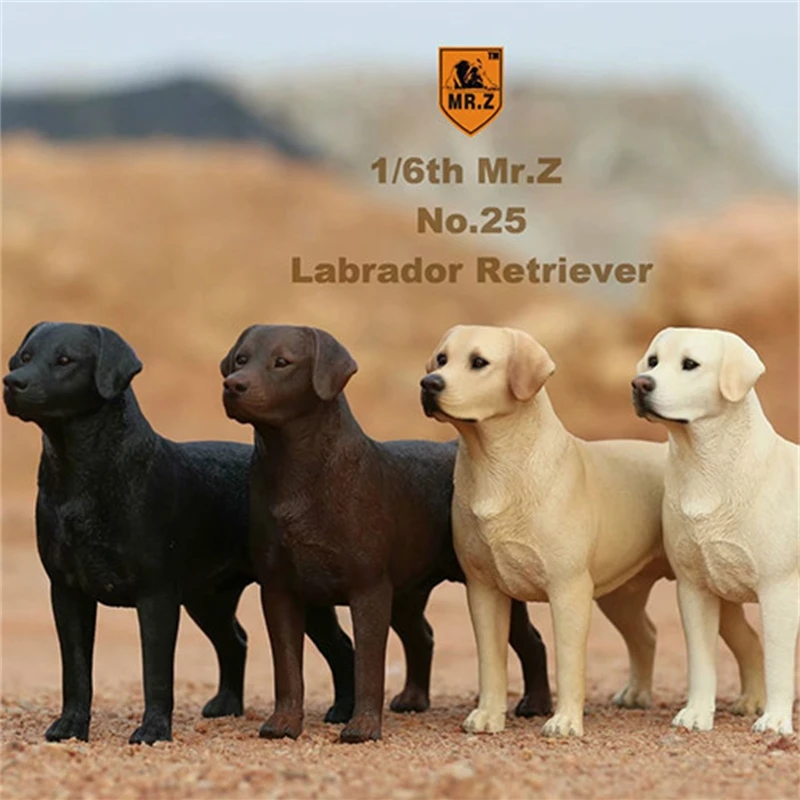 1/6 Schaal Mr.Z Diermodel Hoge Imitatie De Labrador Retriever Hond Voor 12' Action Figure Body Scene Accessoire ﻿