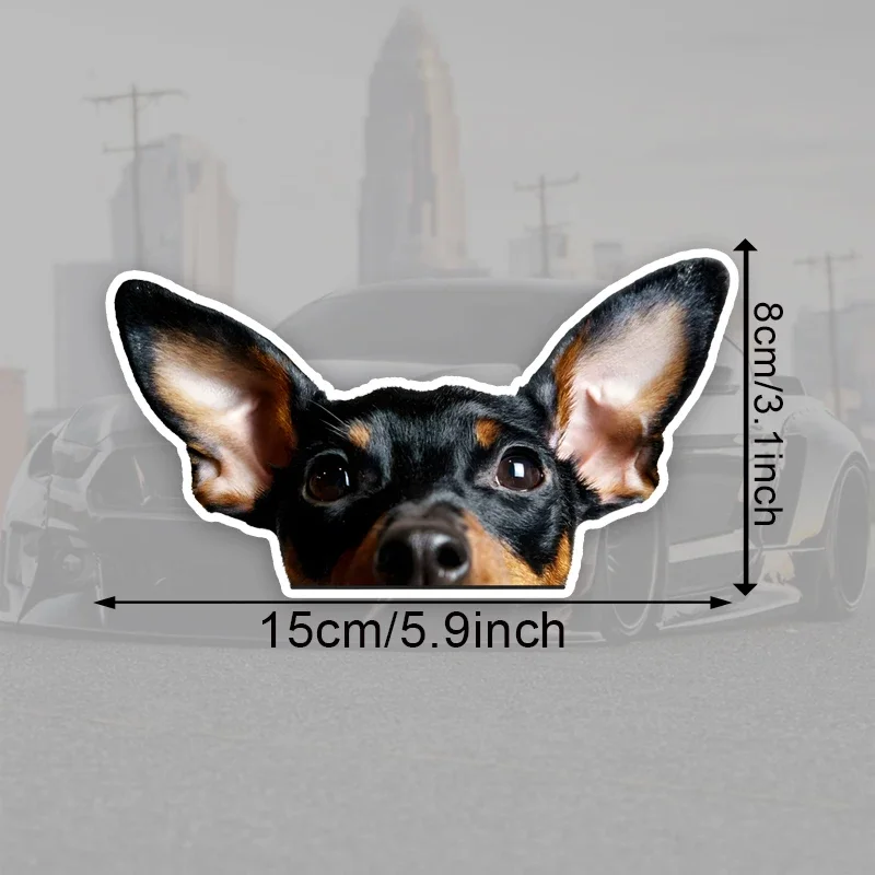 15x8cm Miniature Pinscher Vinyl Car Sticker Funny Creative Waterproof Decal Motorcycle Auto Exterior Styling Decor Accessories
