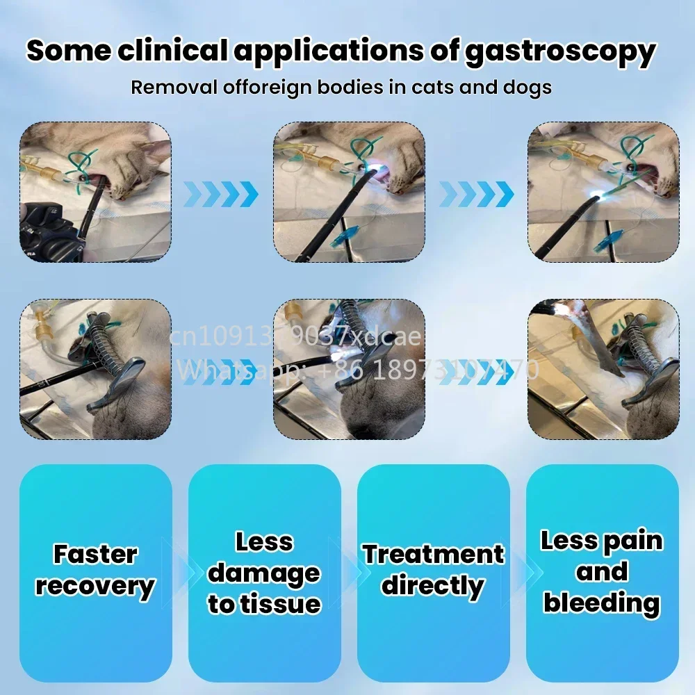 2026 NEW ENT Veterinary Endoscope Camera Multi-function Flexible Urology Endoscopy Cystoscope For Animal Pet Surgical Equipment