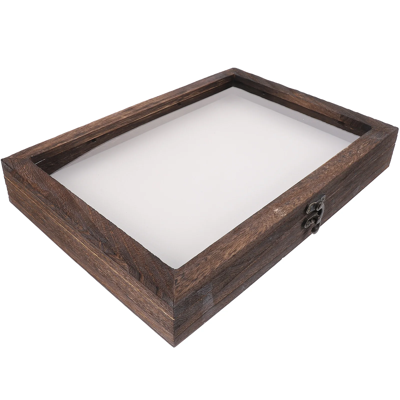 

Insect Specimen Box Display Case Wooden Storage Box Transparent Lid Bugs Butterflies Collecting Jewelry Small Items Tools Parts