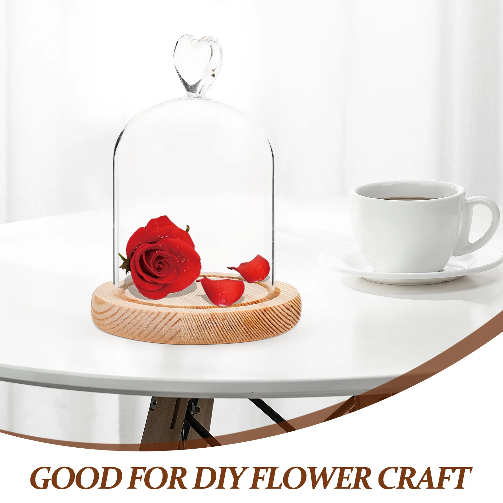 

Flower Glass Cover Transparent Dome for Dry Flowers Fine Crafted Portable Storage Decorative Home Garden Accessory Five-Pointed