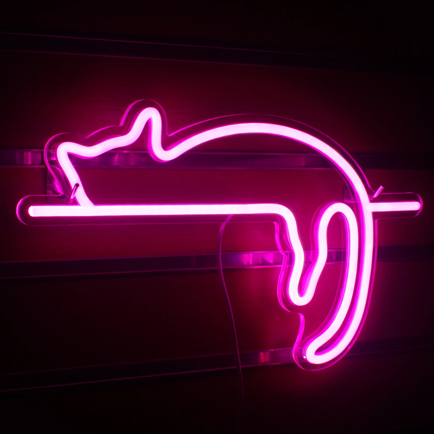 Cat Neon Sign LED Lights, Wall Decor, USB Powered, Decoração estética, Presentes de aniversário, Pet Store, Quarto, Crianças