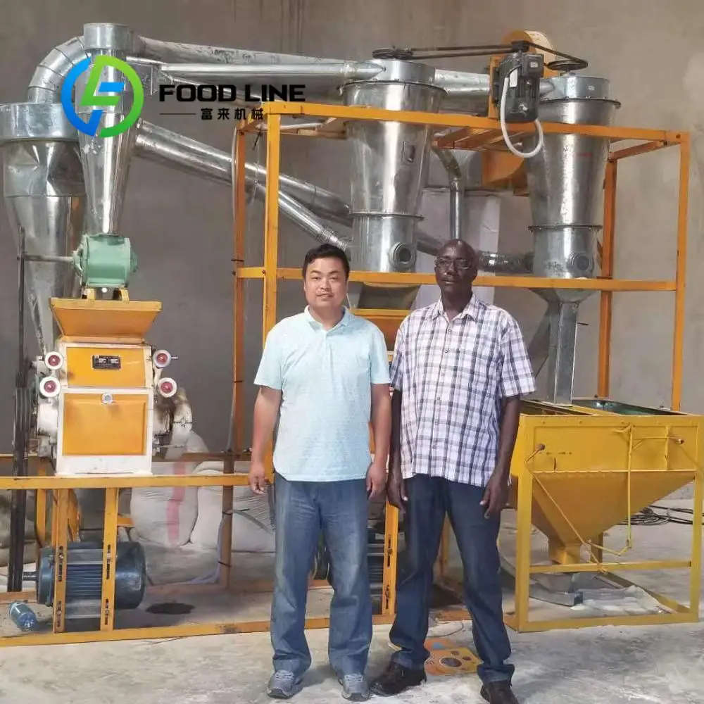 Small Capacity 10TPD Maize Roller Mill Corn Flour Machinery With Low Noise 5 Year Warranty 220V/380V 89KW Customize