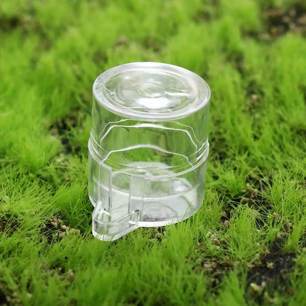 

Portable Practical Round Acrylic for Cricket Transparent Ant Nest House Reptile Drinking Bowl Ant Water Dispenser Ant Feeder