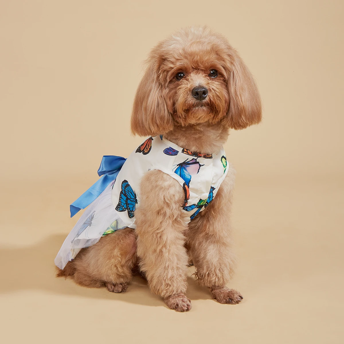 Dog Dress for Small Dogs  Costume Butterfly Printed Puppy Tulle Bowknot Dresses Doggie Pet Summer Clothes Apparel for Dogs Cats