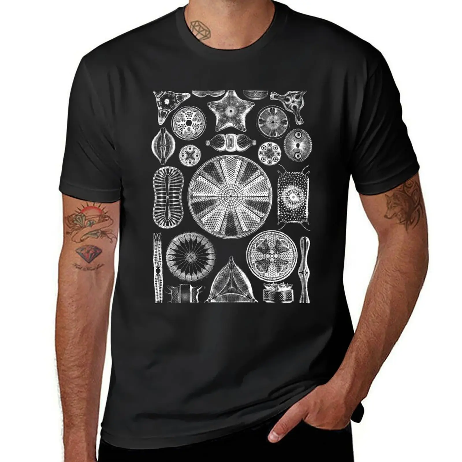 Ernst Haeckel Diatoms - outline only in white T-Shirt Aesthetic clothing vintage boys animal print plain t shirts men