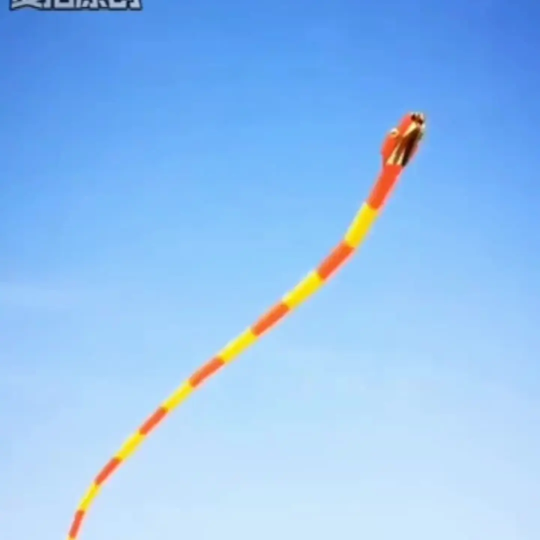 

2021 New 3D Soft Inflatable Adult 55m Snake Kite Large Animal Kite Outdoor Sports Flying Tool High Quality